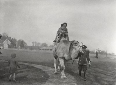 An Arabian Camel Taking a Pair of Children for a Ride at ZSL Whipsnade, March 1932 by Frederick William Bond